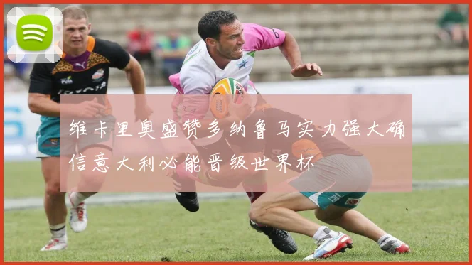 维卡里奥盛赞多纳鲁马实力强大确信意大利必能晋级世界杯